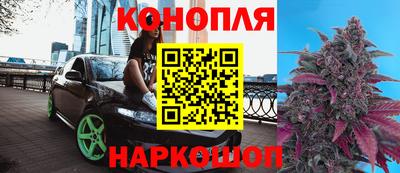 apvp Братск