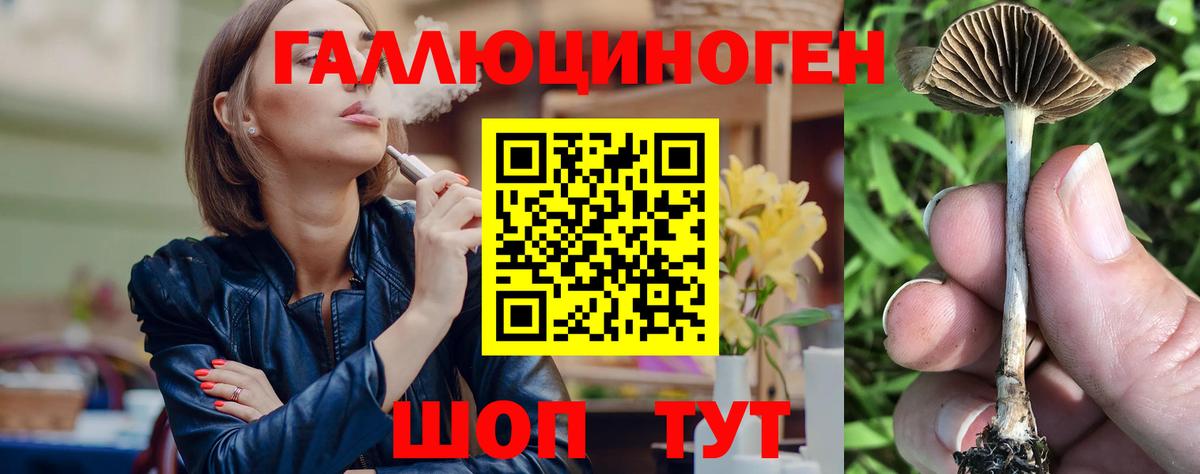 Галлюциногенные грибы Psilocybine cubensis  Вход с VPN  Осинники 